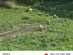 -沈阳森林动物园