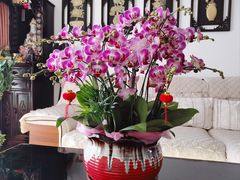 -双季花艺园艺市场(浦东店)