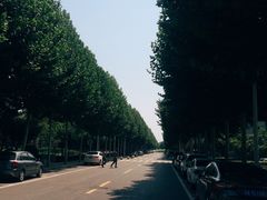 -河南财经政法大学(郑东校区)