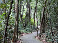 -姑婆山旅游区