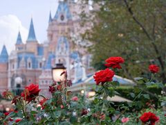 -上海迪士尼度假区