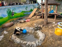 -栾川竹海野生动物园