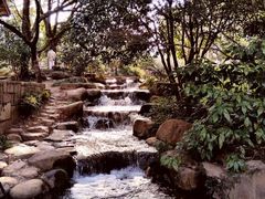 -中国茶叶博物馆(双峰馆区)