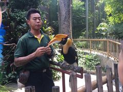 -新加坡飞禽公园