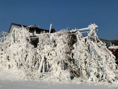 -辽阳弓长岭温泉滑雪场