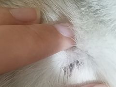 -成都民大动物医院