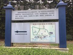 -长洲岛