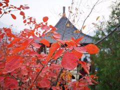 -周口店坡峰岭风景区