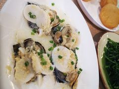 北极贝蒸粉丝-崖口红树林海鲜餐厅