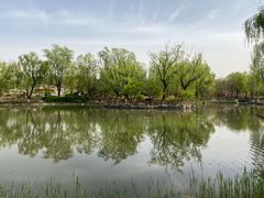-太阳宫公园