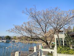 -葛仙湖公园