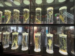 -广东中医药博物馆
