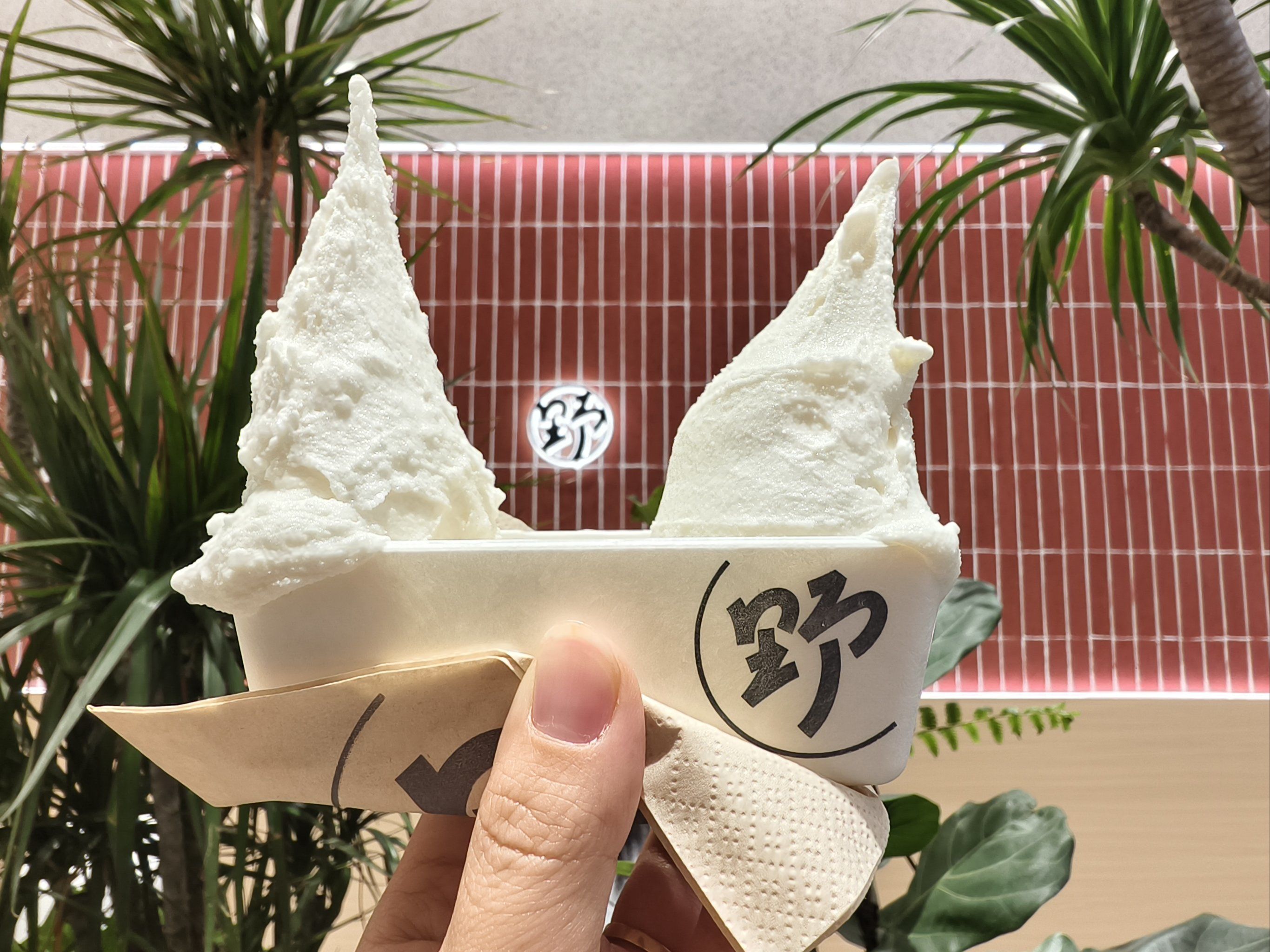 大米冰淇淋别具一格,牛奶味香醇浓郁,两者