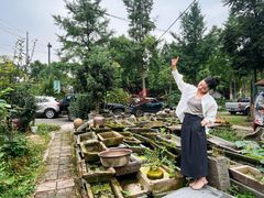 -青城甲(青城山店)