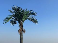 -巧克力渔家.小船海鲜家常菜(万平口店)