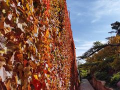 -罗红摄影艺术馆