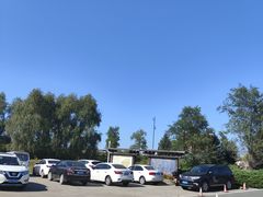 -呼兰河口湿地公园