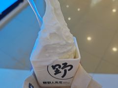 -野人先生Gelato(上海长宁龙之梦店)