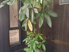 -阿伟海鲜楼·福建菜(涵江店)