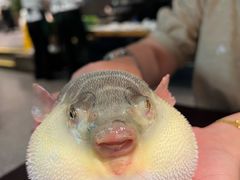 -永安鱼庄·镇江菜(东吴路店)