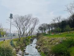 -羊山湖公园