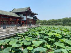 -济南大明湖景区