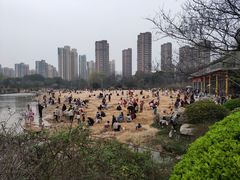 -青枫公园