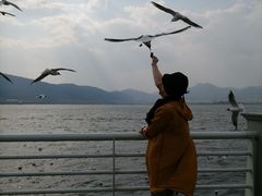 -滇池海埂公园