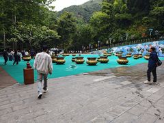 -西双版纳原始森林公园