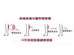 -河南中医药大学第一附属医院-医疗整形