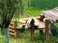 -沈阳森林动物园