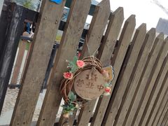 -柴犬高等学院·狗咖·柴犬售卖·宠物训练