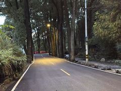 -缙云山景区