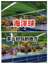 -欢乐陶陶儿童主题乐园(龙岗店)