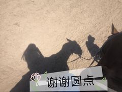 -坝上草原大汗行宫旅游景区