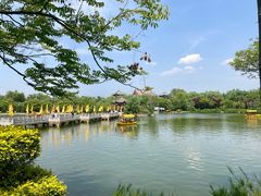 -大槐树寻根祭祖园