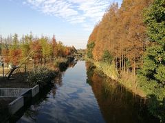 -上海长兴岛郊野公园