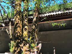 -冕宁灵山寺