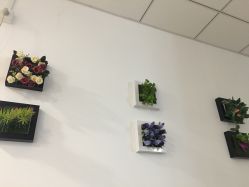 -福建省妇幼保健院(道山路院区)