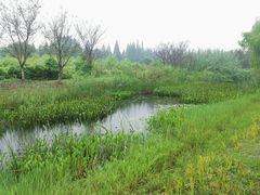 景点-长田漾湿地公园