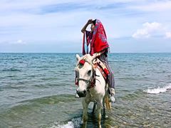 -青海湖国家重点风景名胜区售票处