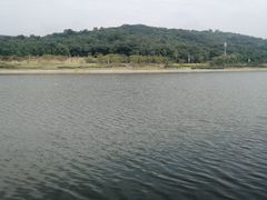 -羊山湖公园