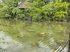 -水底山庄园温泉
