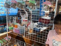 -蓝湾碧波·老字号·疍家非遗海上餐厅