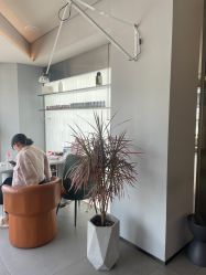 点击看大图 -苑苑发型设计