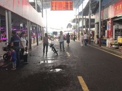 -清远三鸟海鲜农贸市场