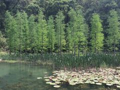 -广州市石门国家森林公园