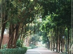 -南宁南湖公园