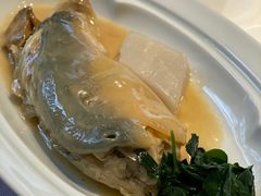 -子福慧(虹桥店)