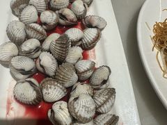 -华盛丰温州大排档(东三环南路店)